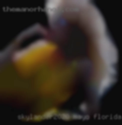 Skylander2020 Mayo Florida